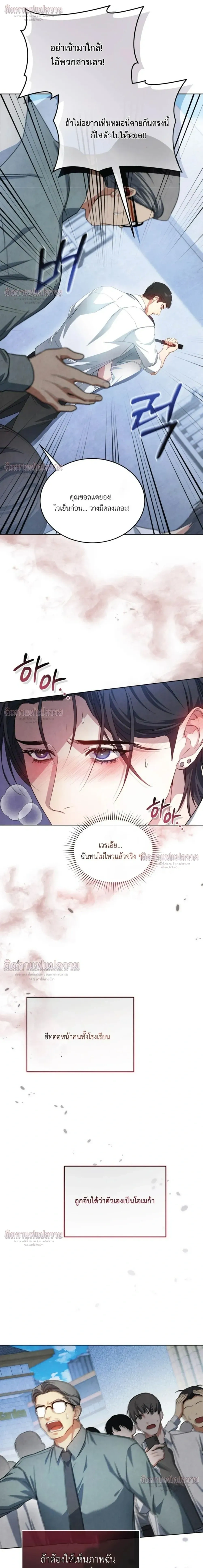 หน้าที่ 31