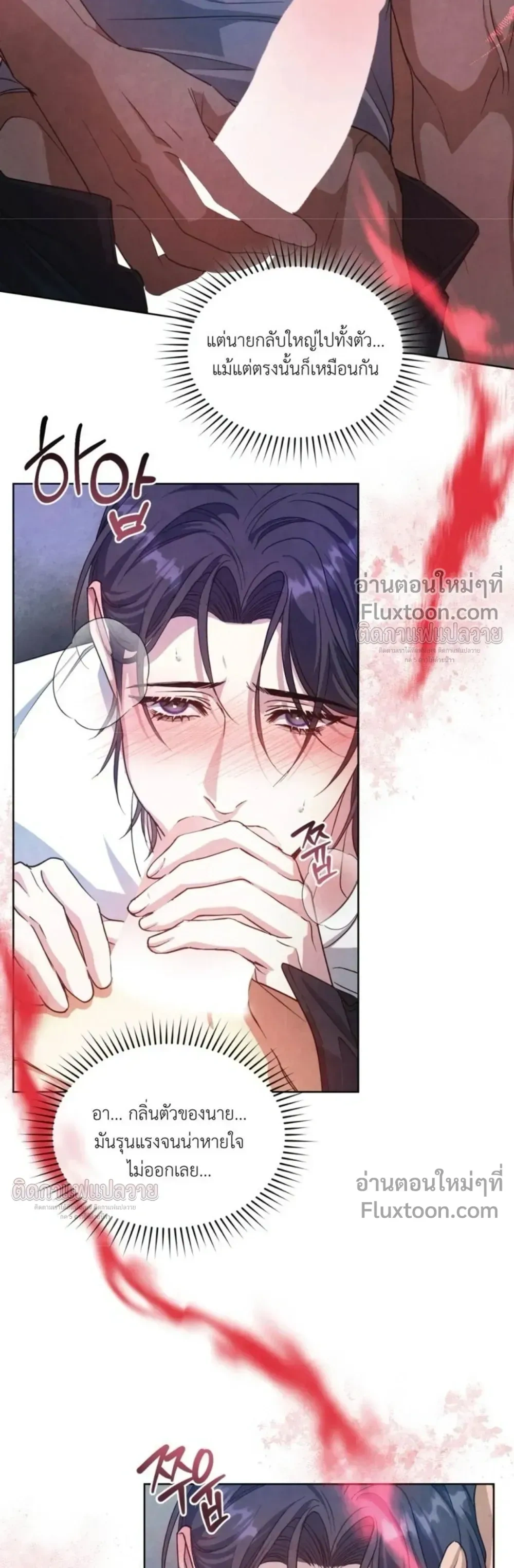หน้าที่ 17