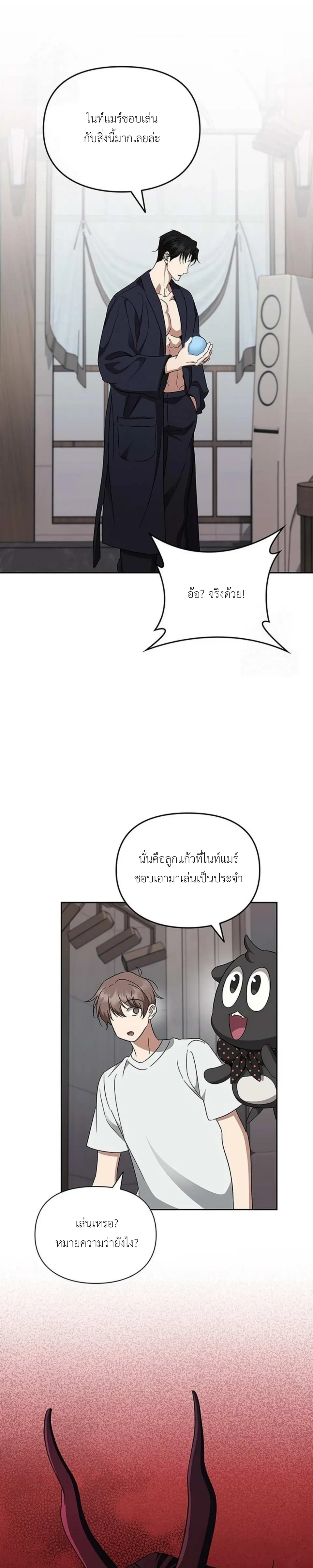 หน้าที่ 13