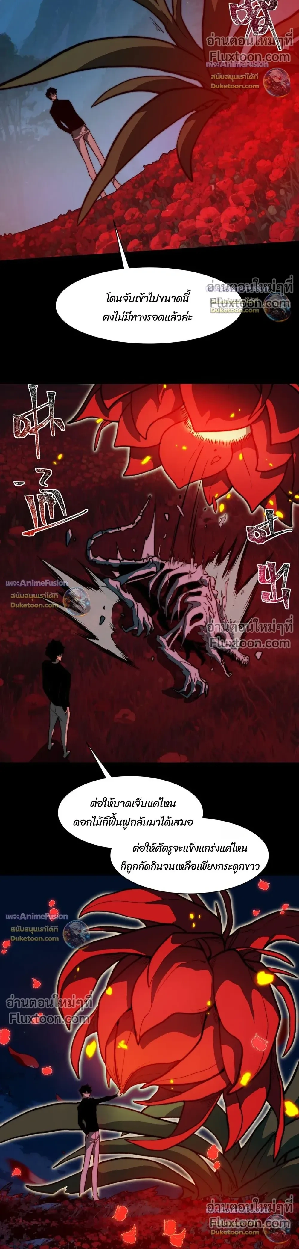 หน้าที่ 24