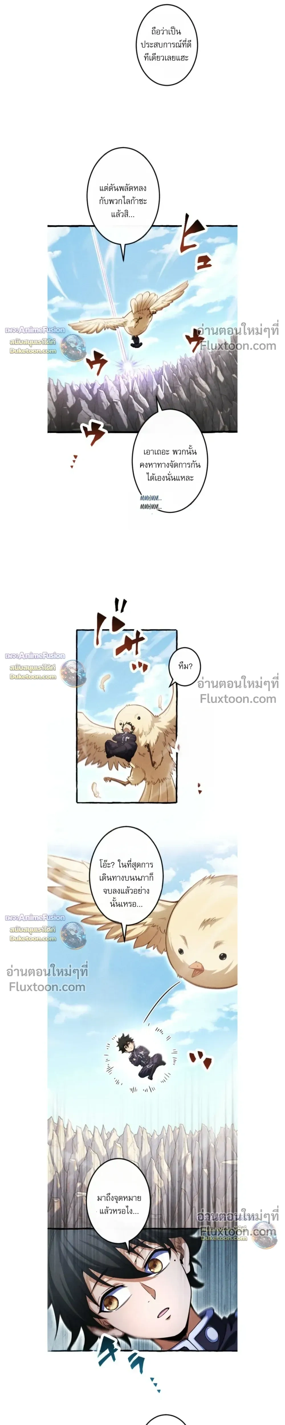 หน้าที่ 13