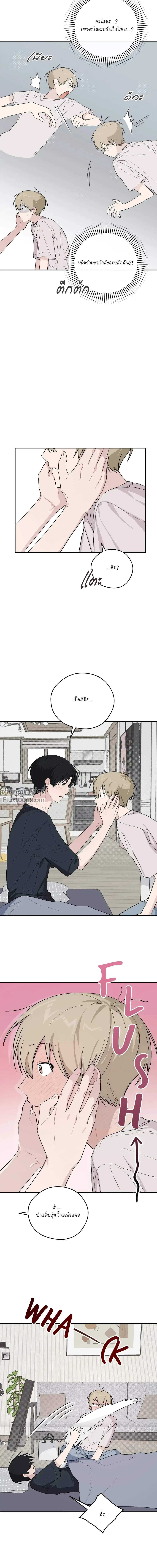 หน้าที่ 8