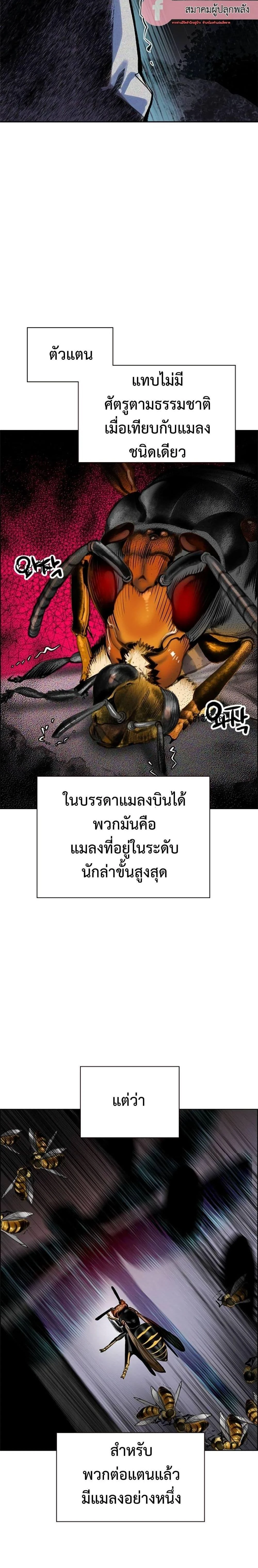หน้าที่ 52