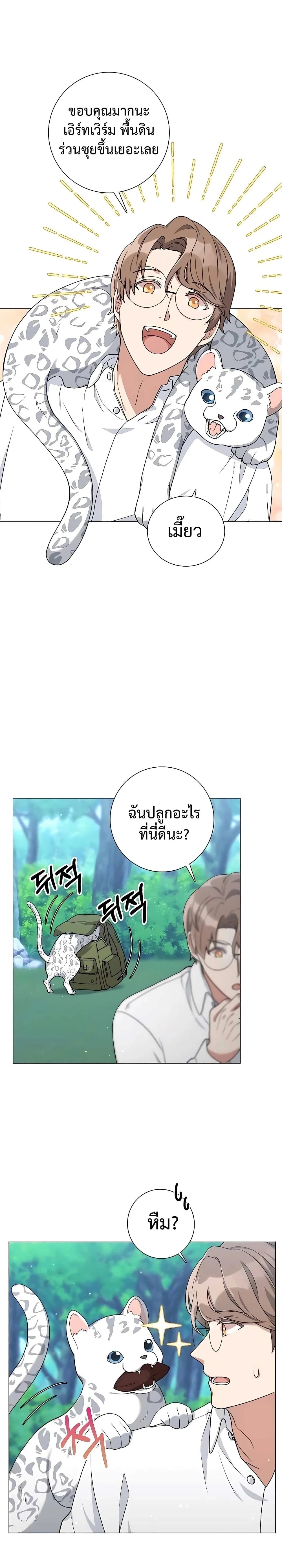 หน้าที่ 15