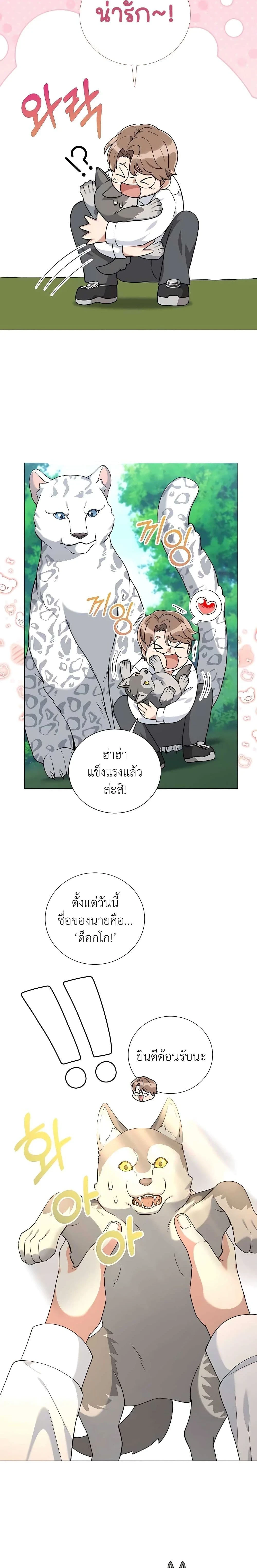 หน้าที่ 11