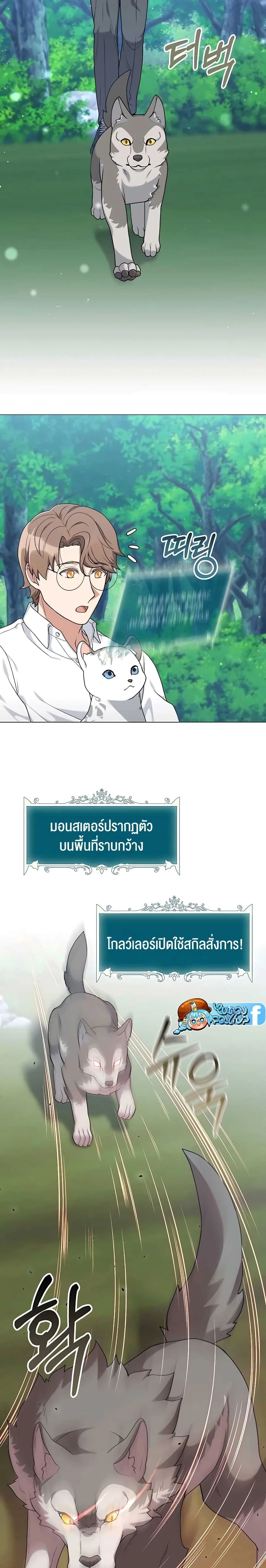 หน้าที่ 13