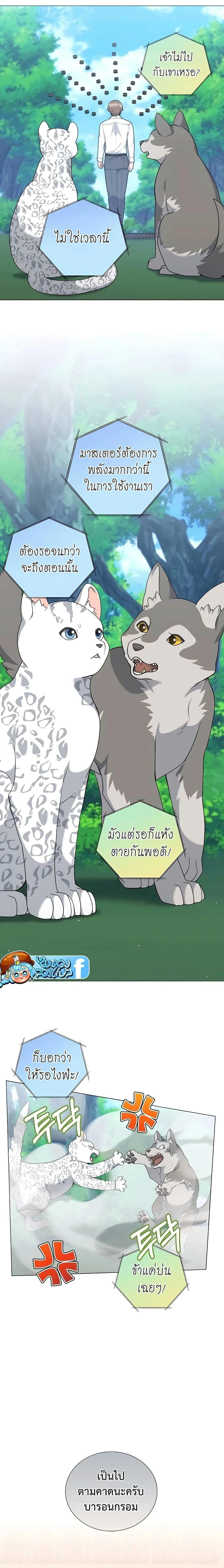 หน้าที่ 11