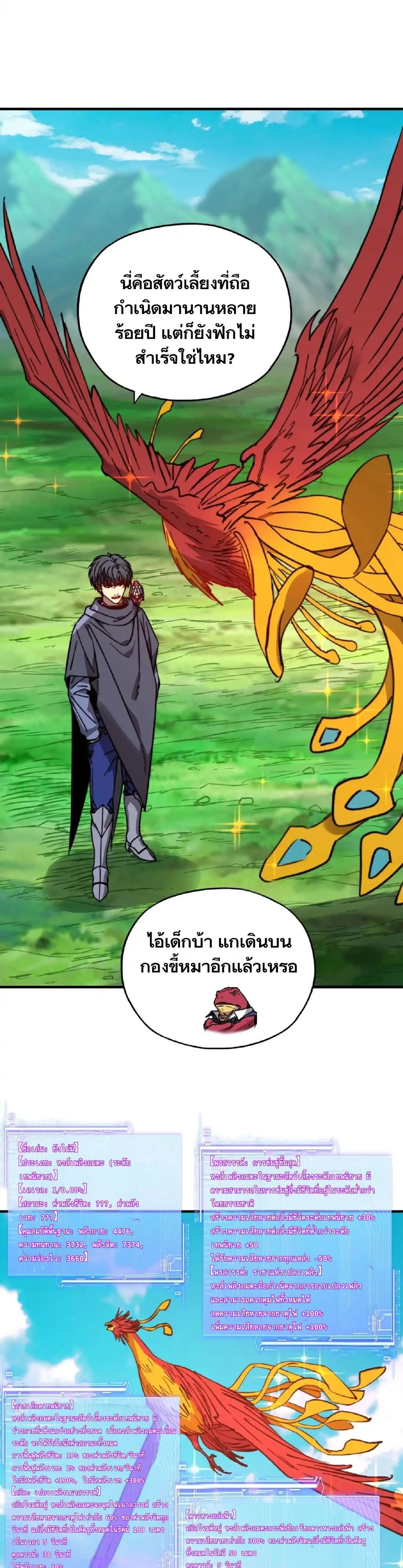 หน้าที่ 11