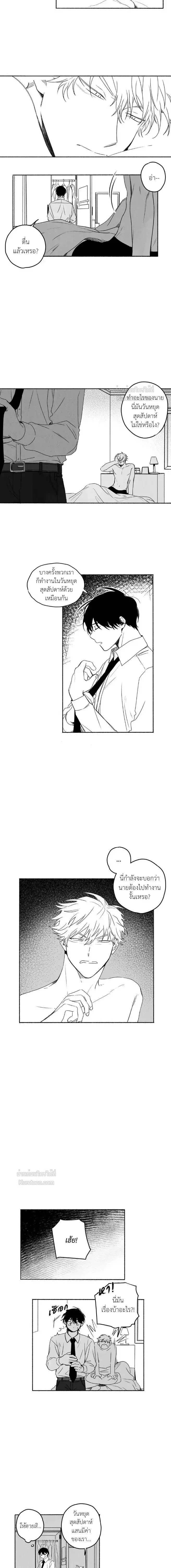 หน้าที่ 3