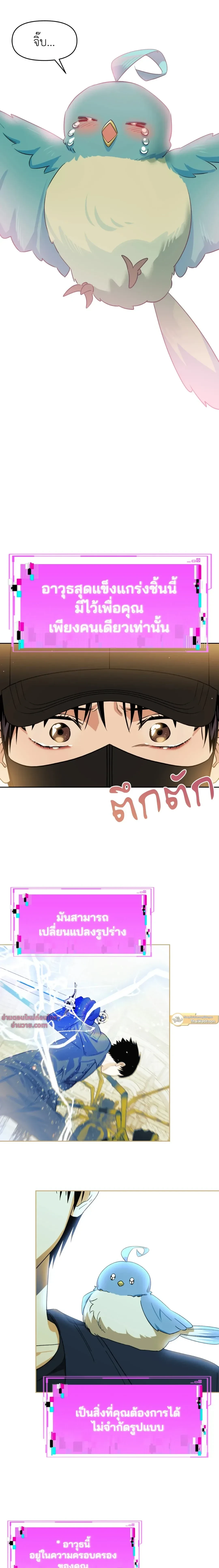 หน้าที่ 13