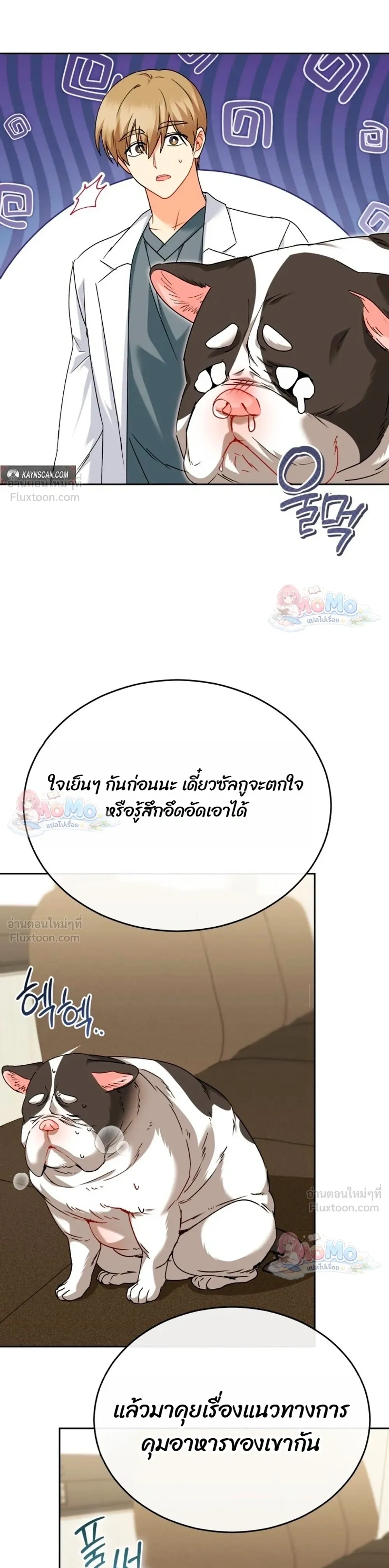 หน้าที่ 29