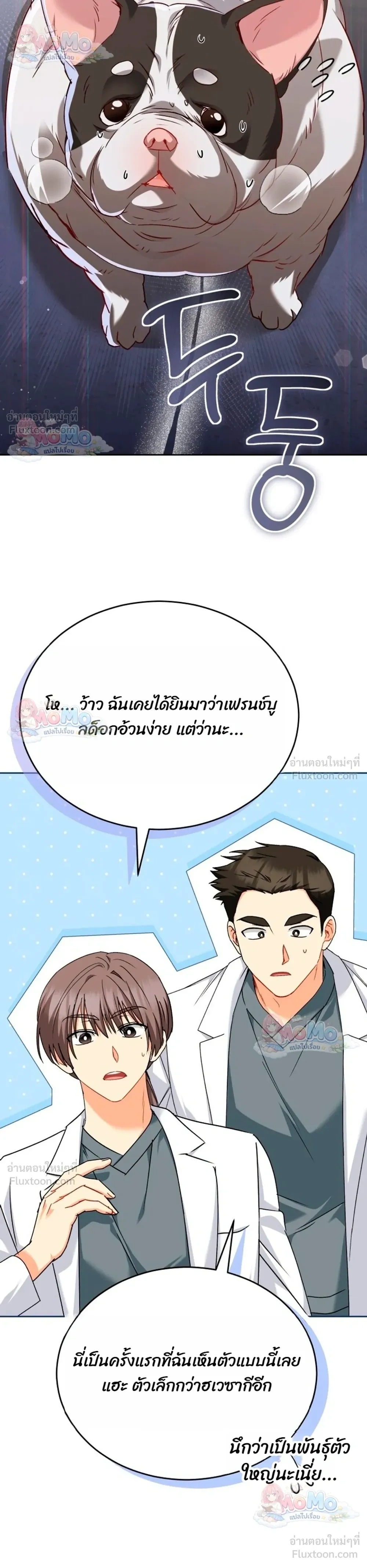 หน้าที่ 28