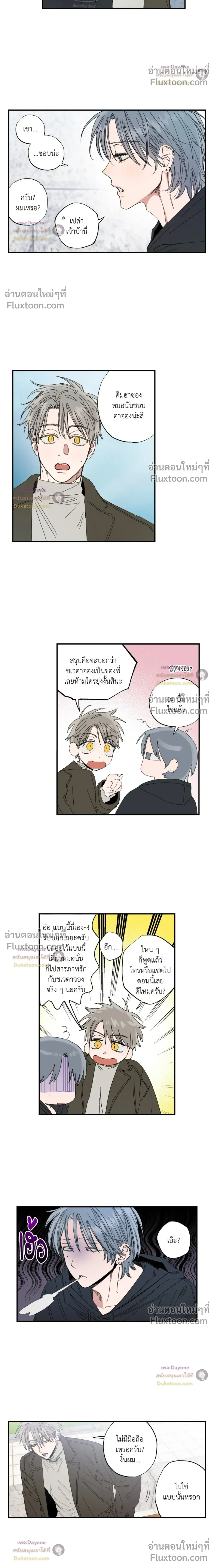 หน้าที่ 11