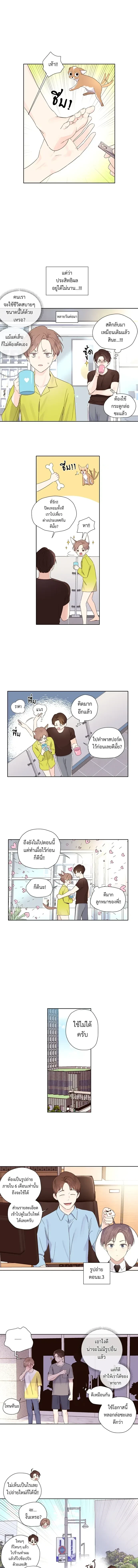 หน้าที่ 5