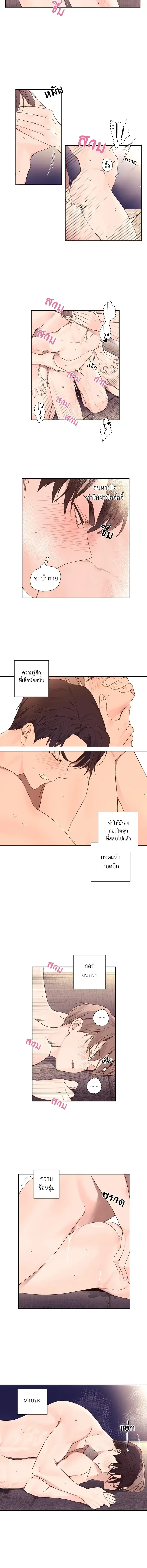 หน้าที่ 6