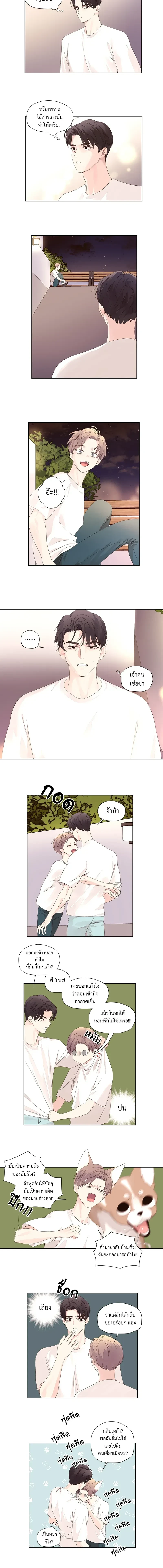 หน้าที่ 6