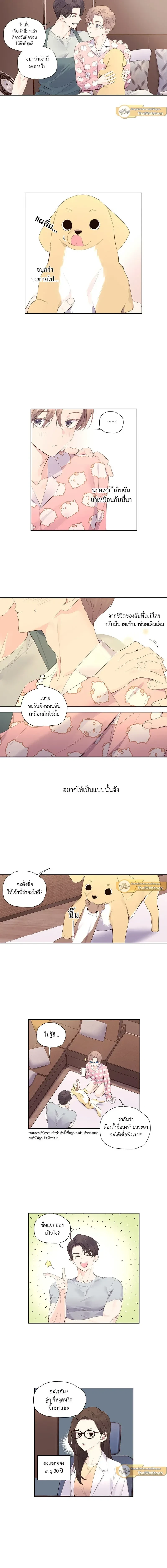 หน้าที่ 4