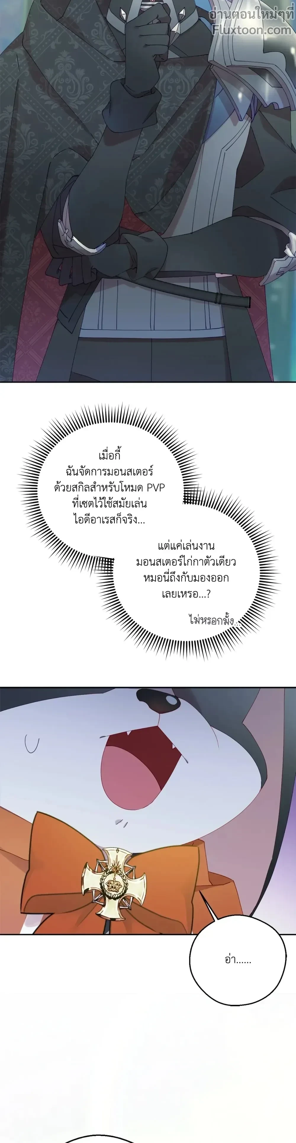 หน้าที่ 17