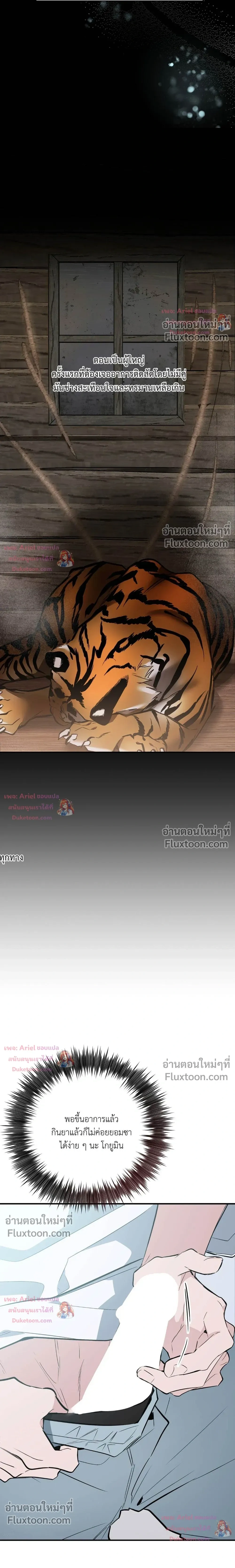 หน้าที่ 31