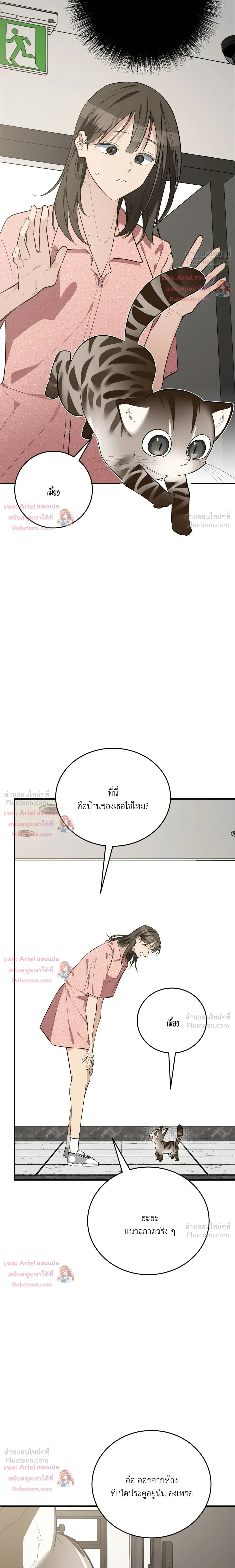 หน้าที่ 29