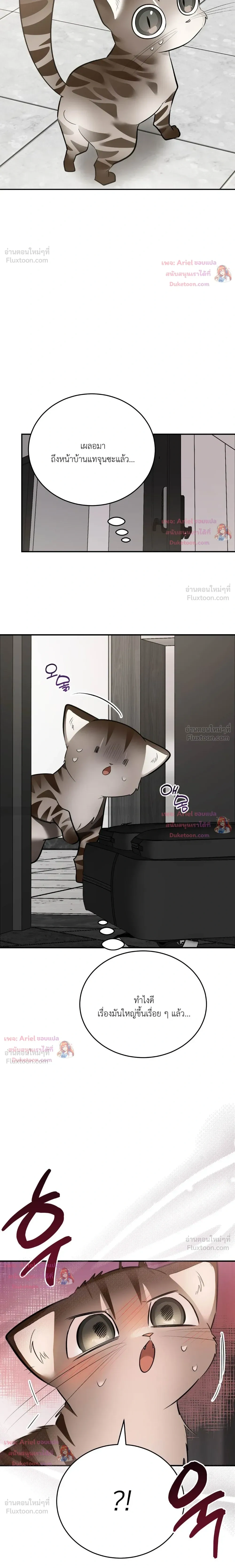 หน้าที่ 31