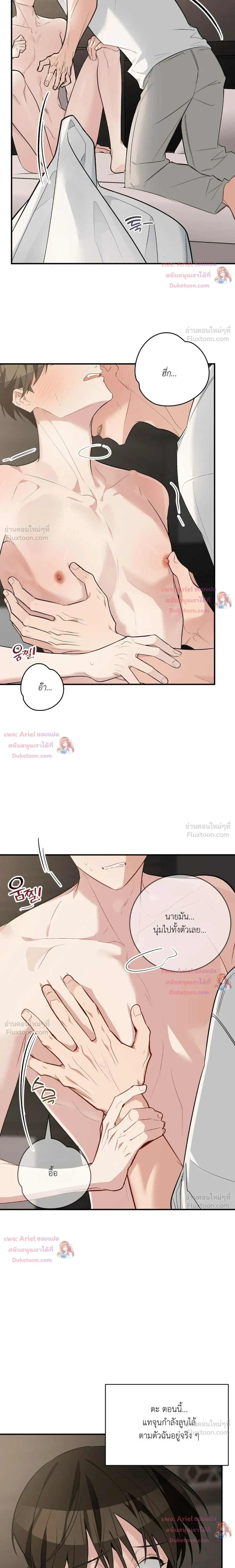 หน้าที่ 13