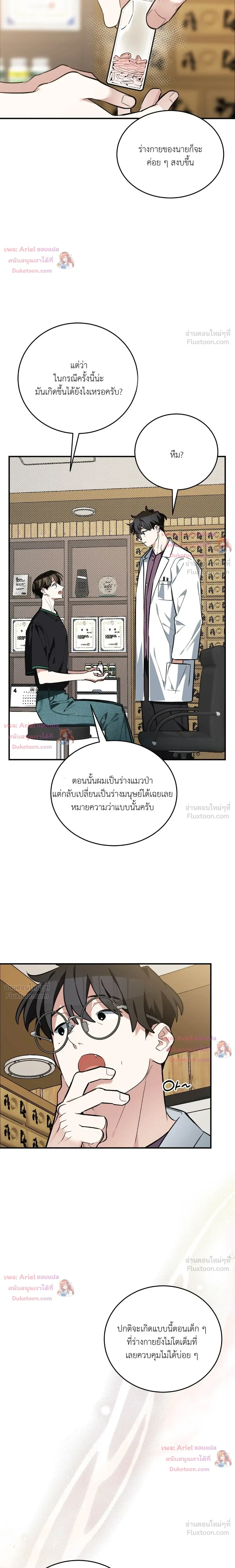 หน้าที่ 13