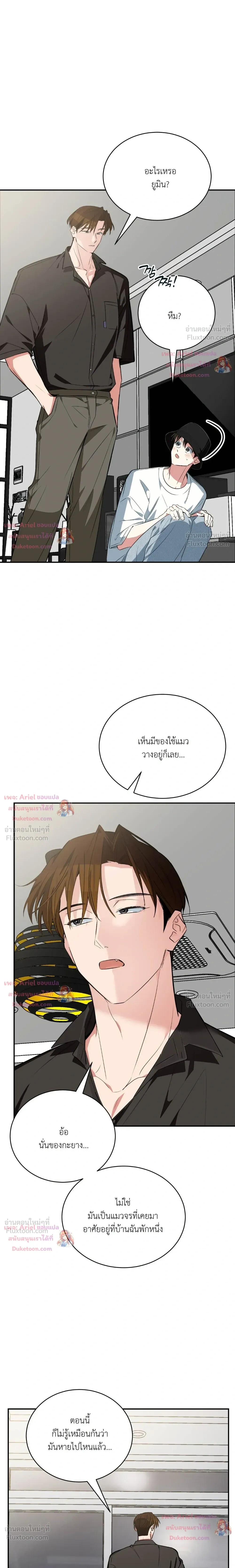 หน้าที่ 11