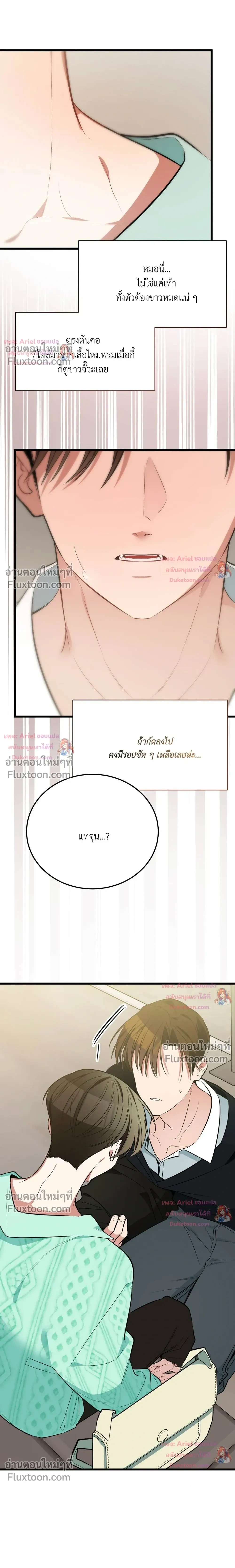 หน้าที่ 19