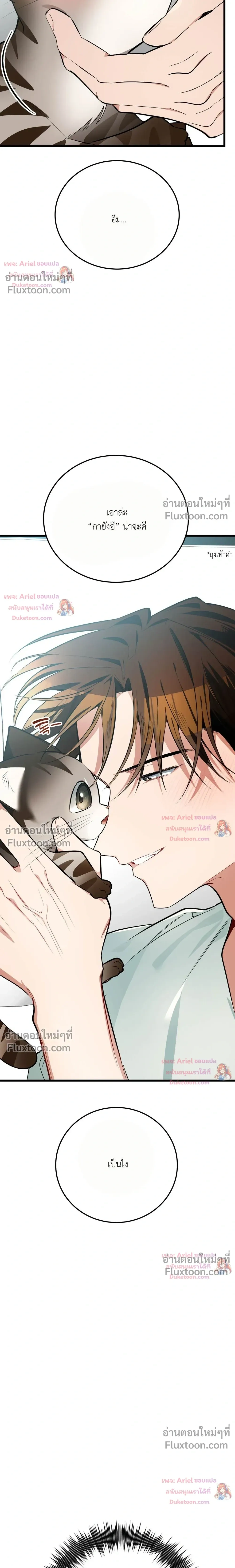 หน้าที่ 31