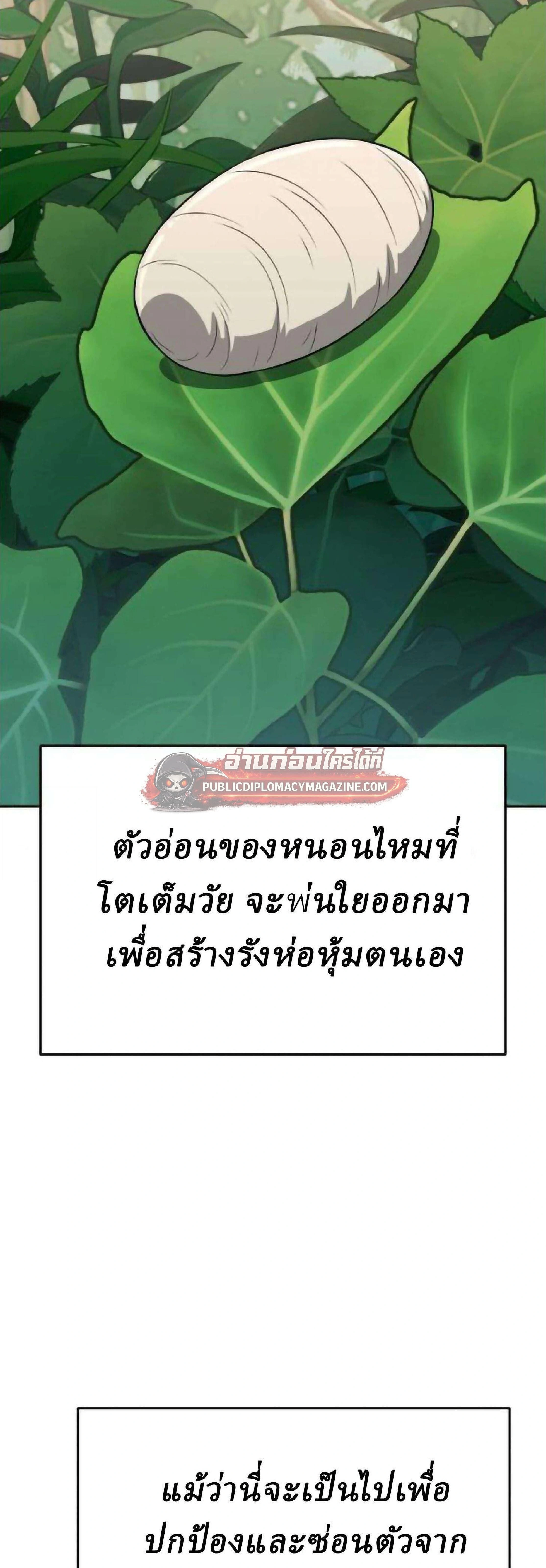 หน้าที่ 24