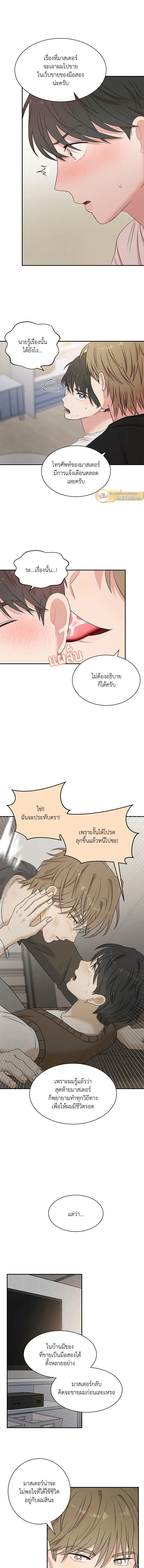 หน้าที่ 6