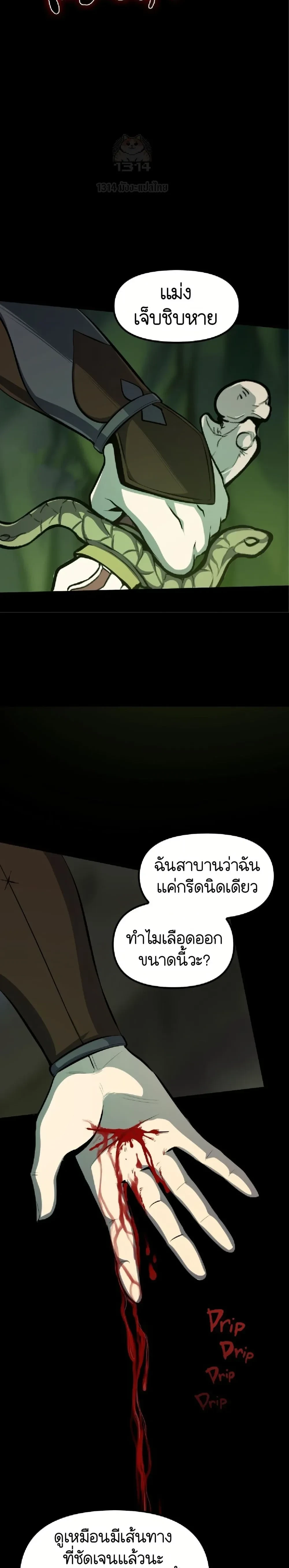 หน้าที่ 28