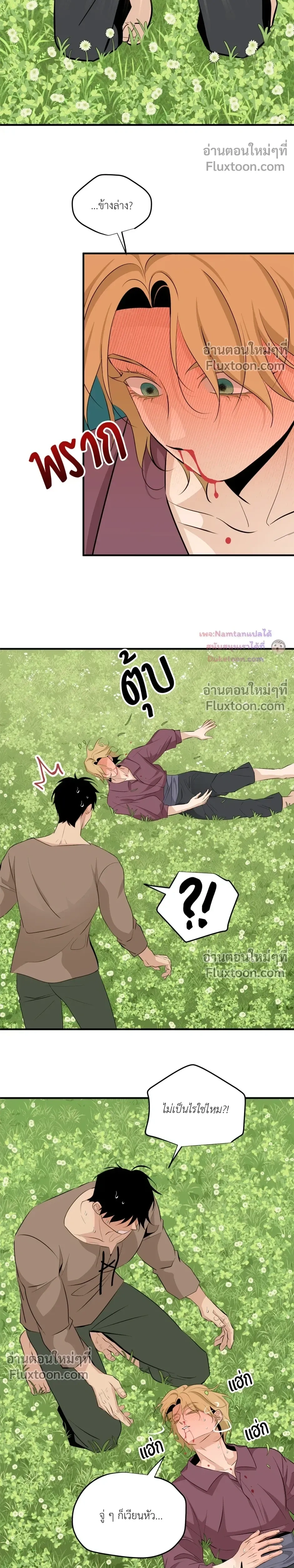 หน้าที่ 5