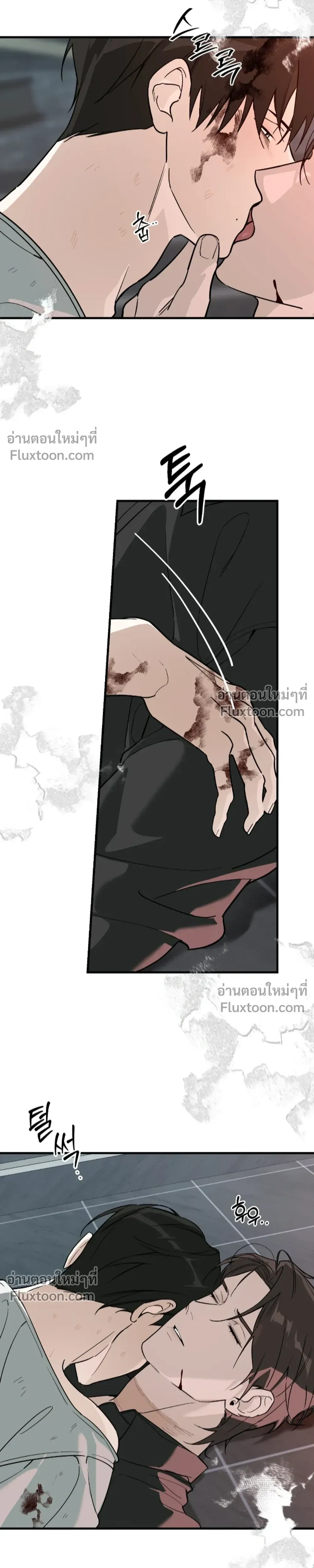 หน้าที่ 13