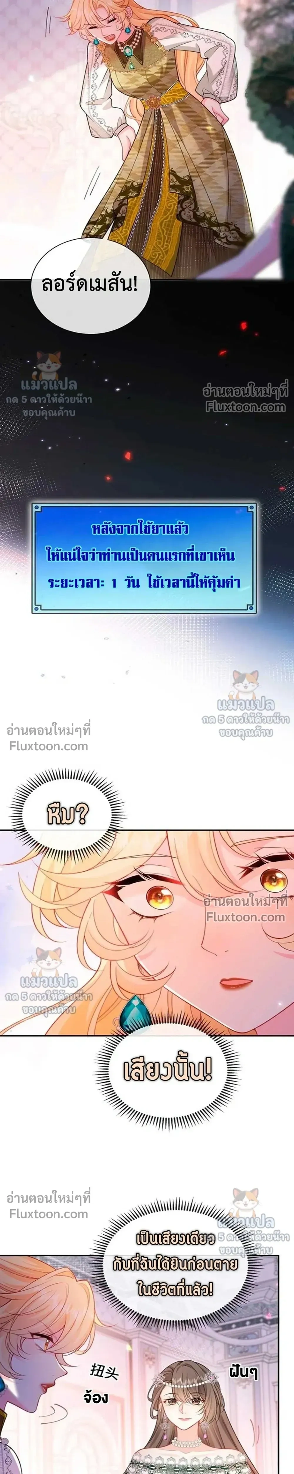 หน้าที่ 3