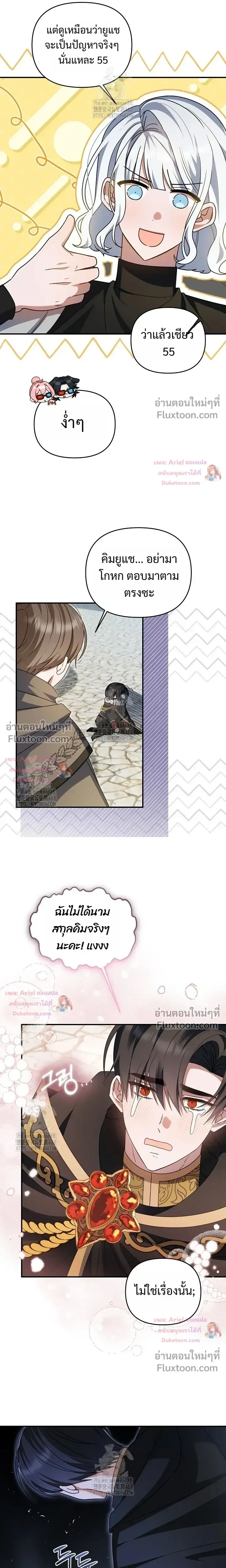 หน้าที่ 13