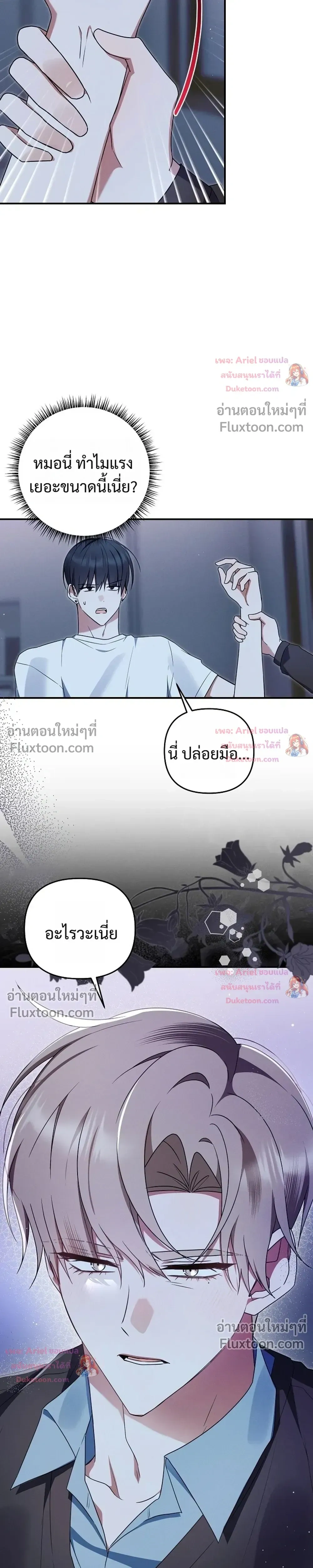 หน้าที่ 13