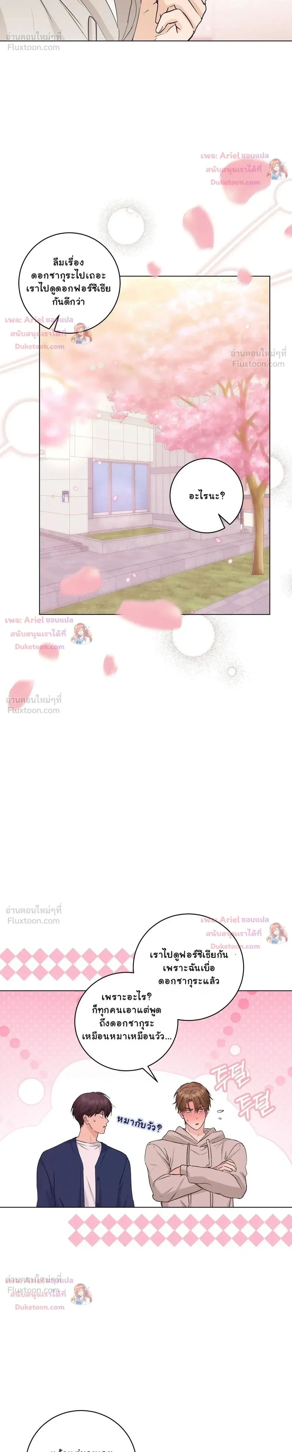 หน้าที่ 14