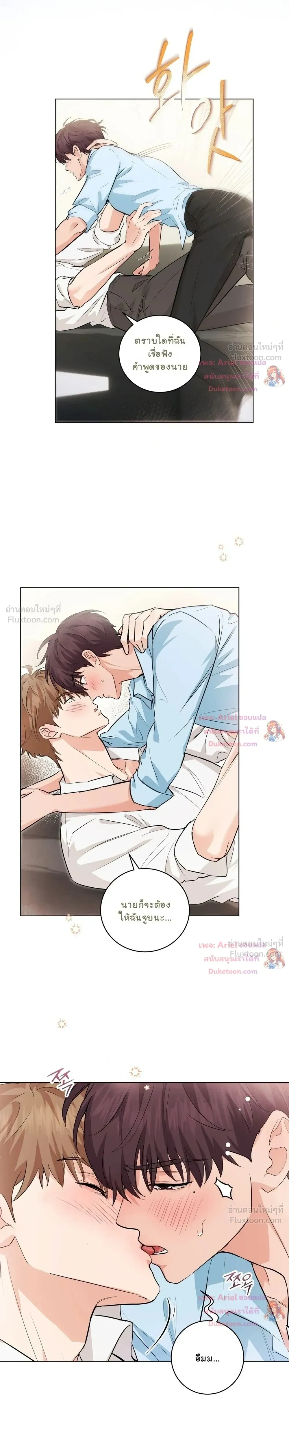 หน้าที่ 13