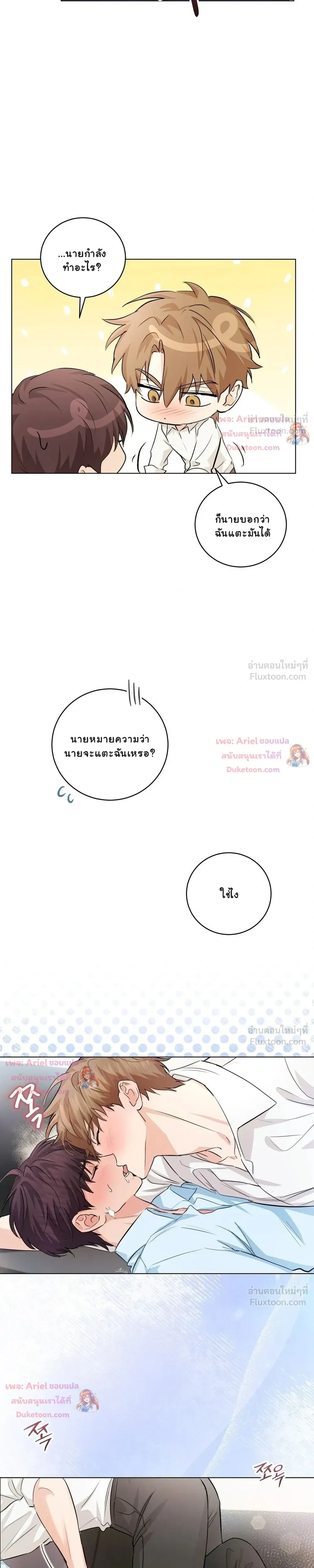หน้าที่ 17