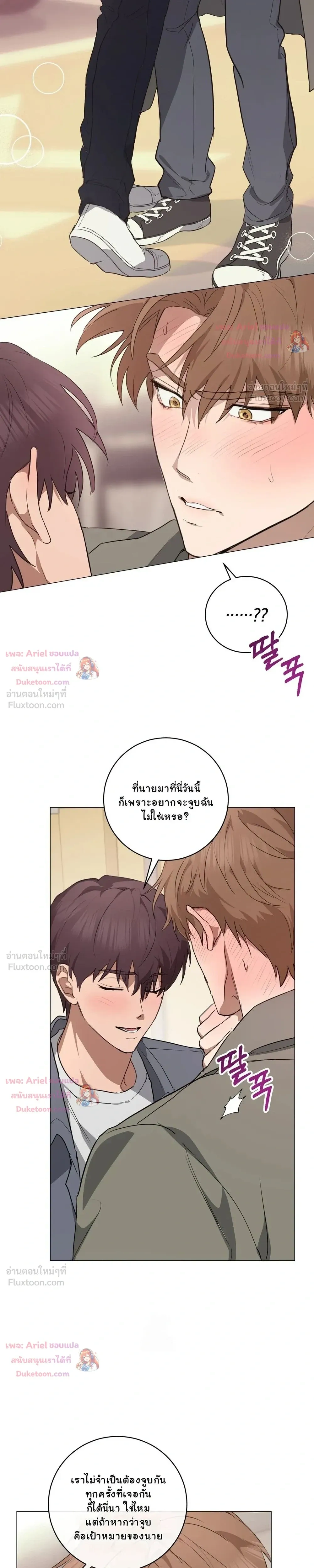 หน้าที่ 13