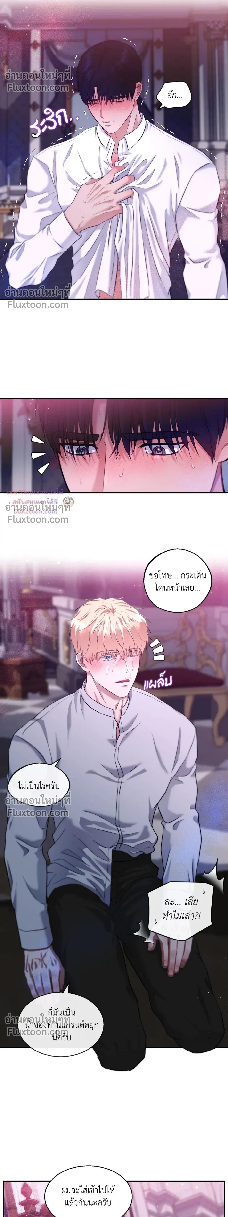 หน้าที่ 17