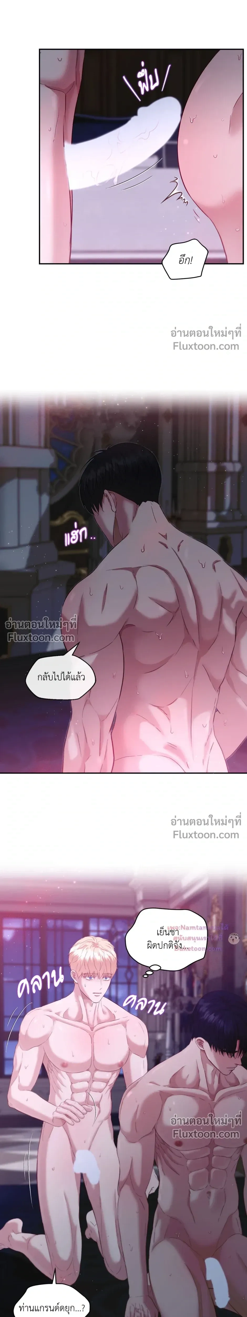 หน้าที่ 13