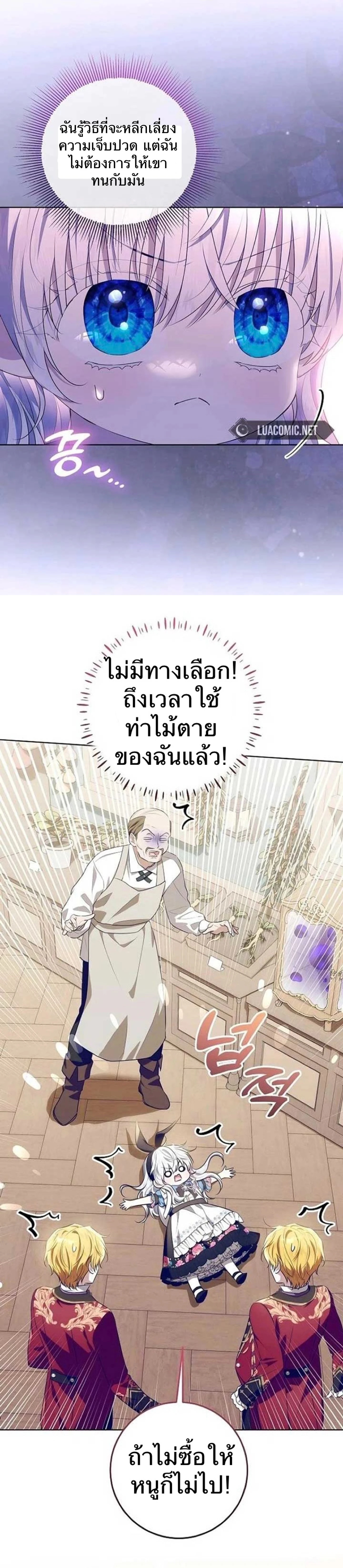 หน้าที่ 29
