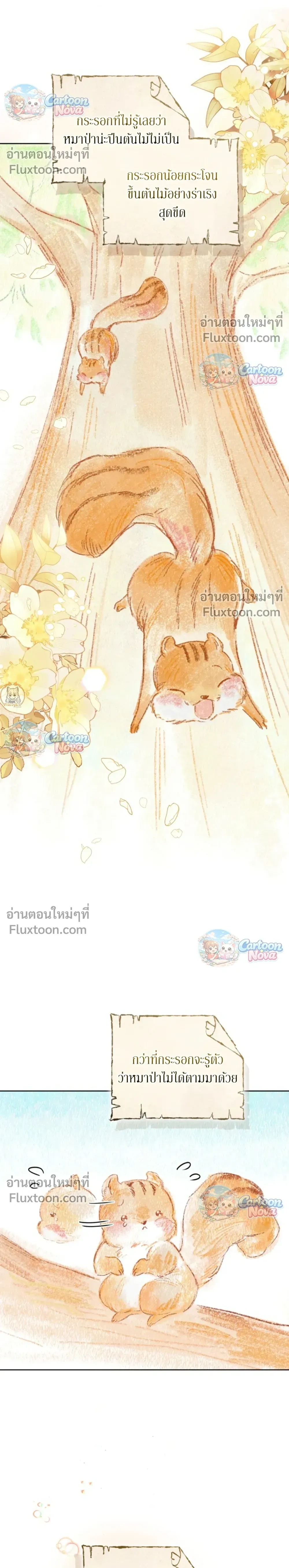 หน้าที่ 14