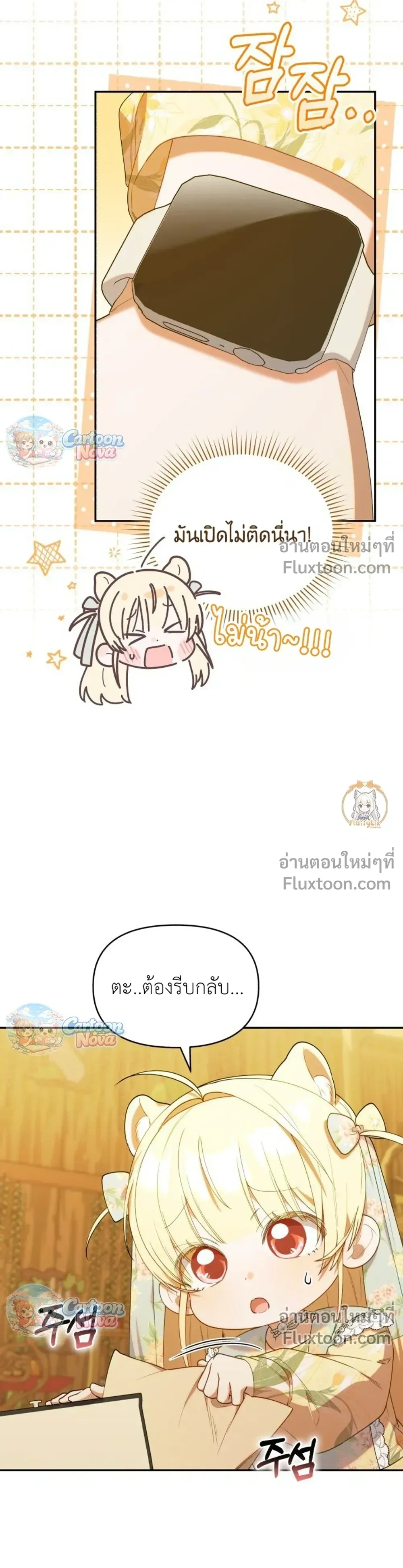 หน้าที่ 17