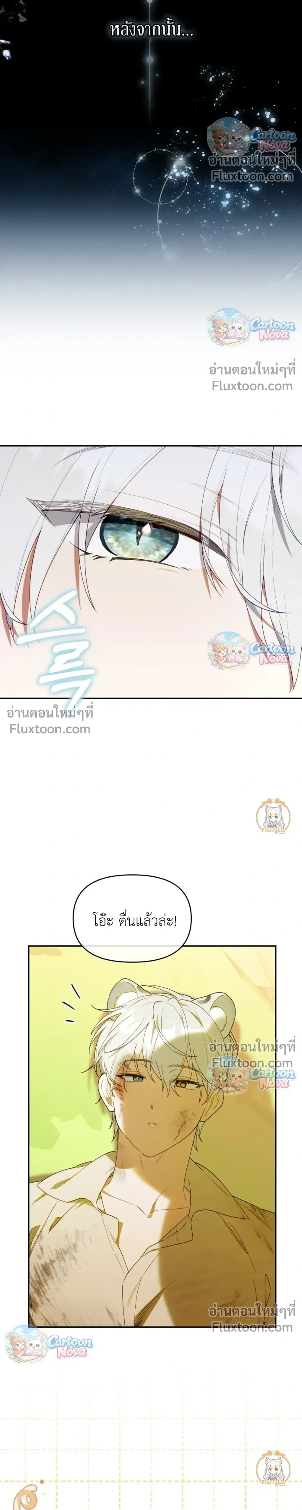 หน้าที่ 29