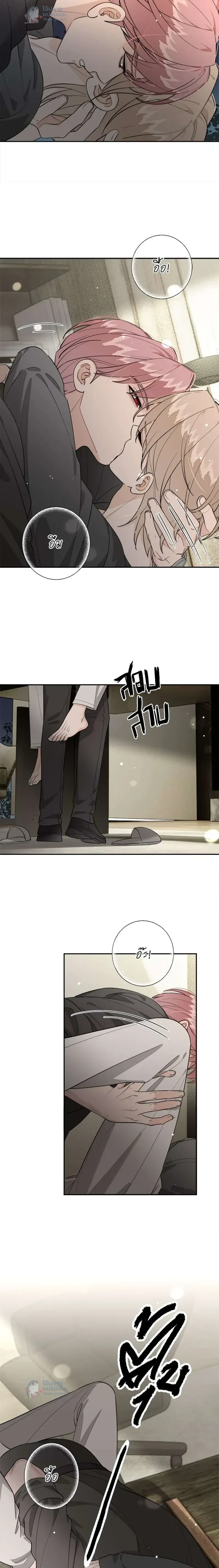 หน้าที่ 6