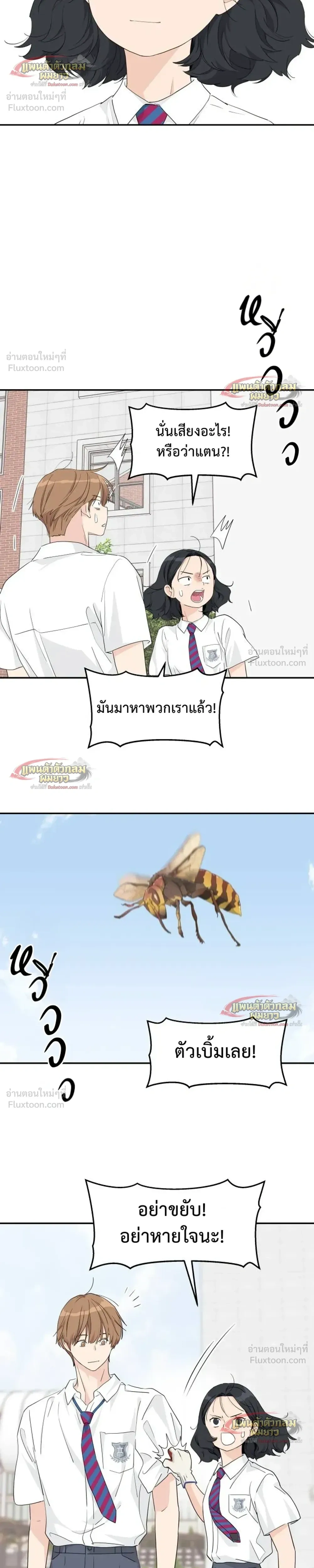 หน้าที่ 17